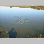 Tust 13.10.2008-27.JPG